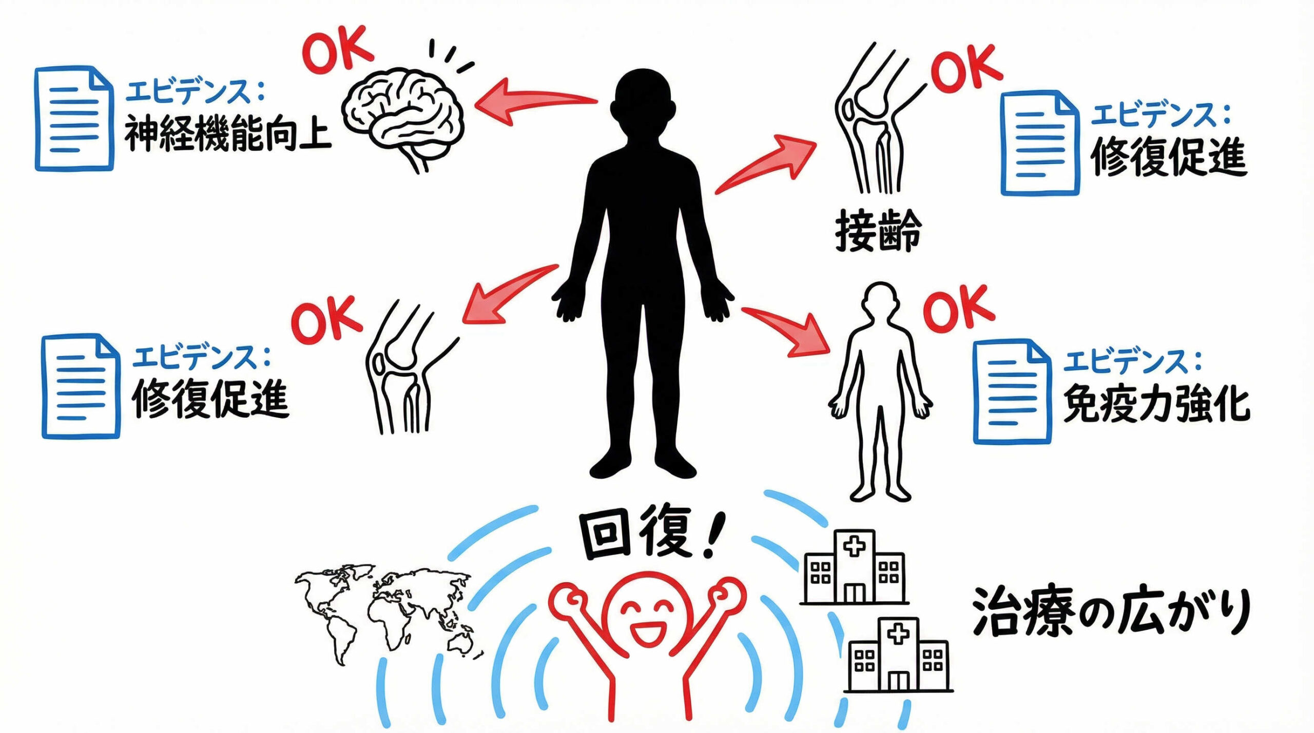 疾患領域別に見る周産期組織由来細胞の臨床応用事例とエビデンス