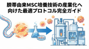 臍帯由来MSC培養技術の産業化へ向けた最適プロトコル完全ガイド