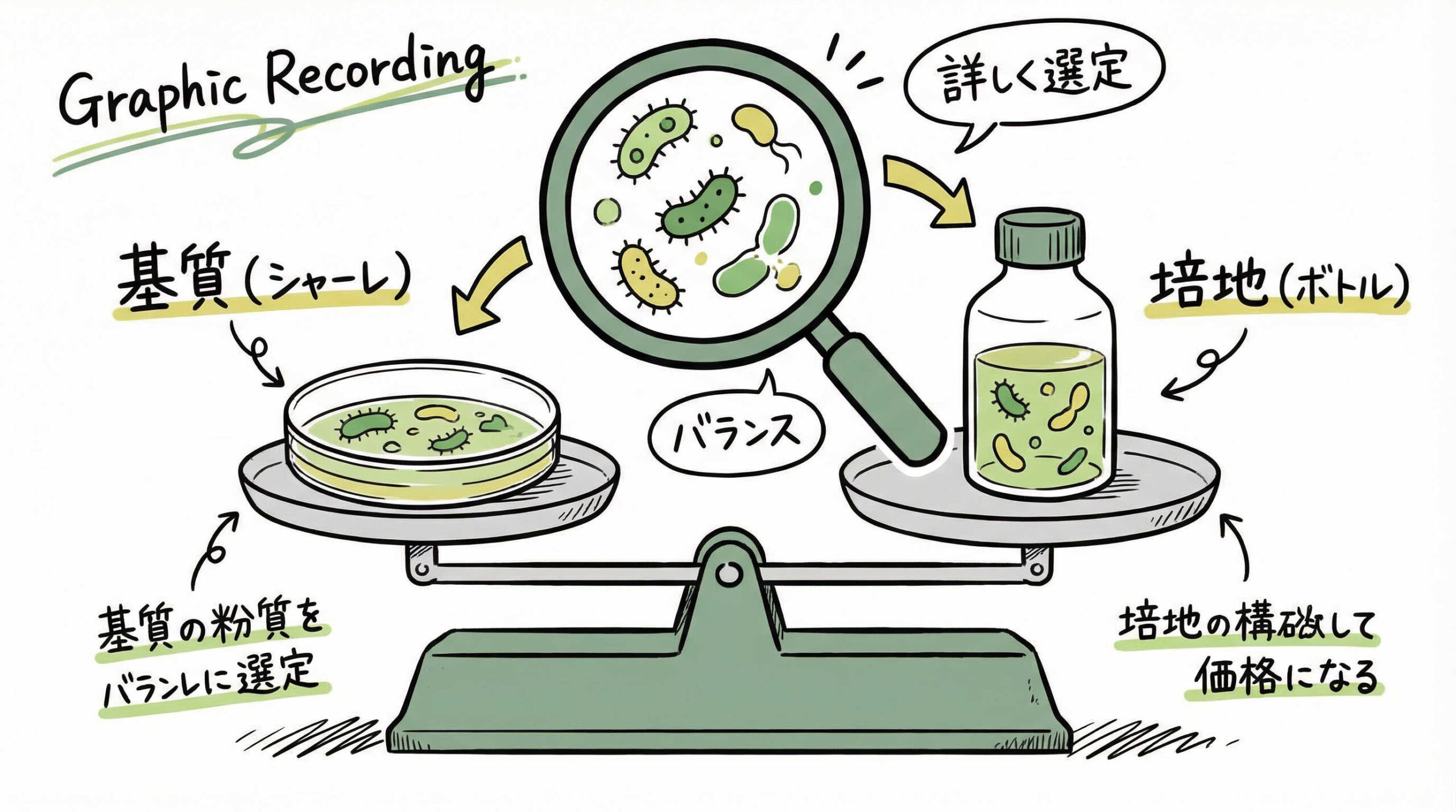 UC-MSCの増殖効率と未分化能維持を左右する培地・基質の選定